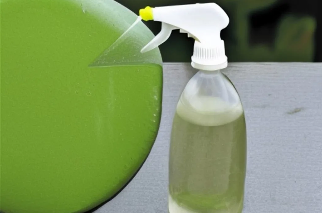 Jak zrobić ekologiczny spray na mszyce