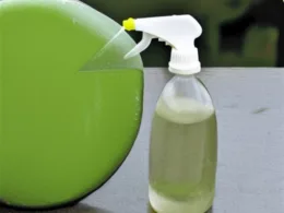 Jak zrobić ekologiczny spray na mszyce