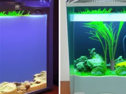 Jak zrobić zewnętrzny filtr do akwarium